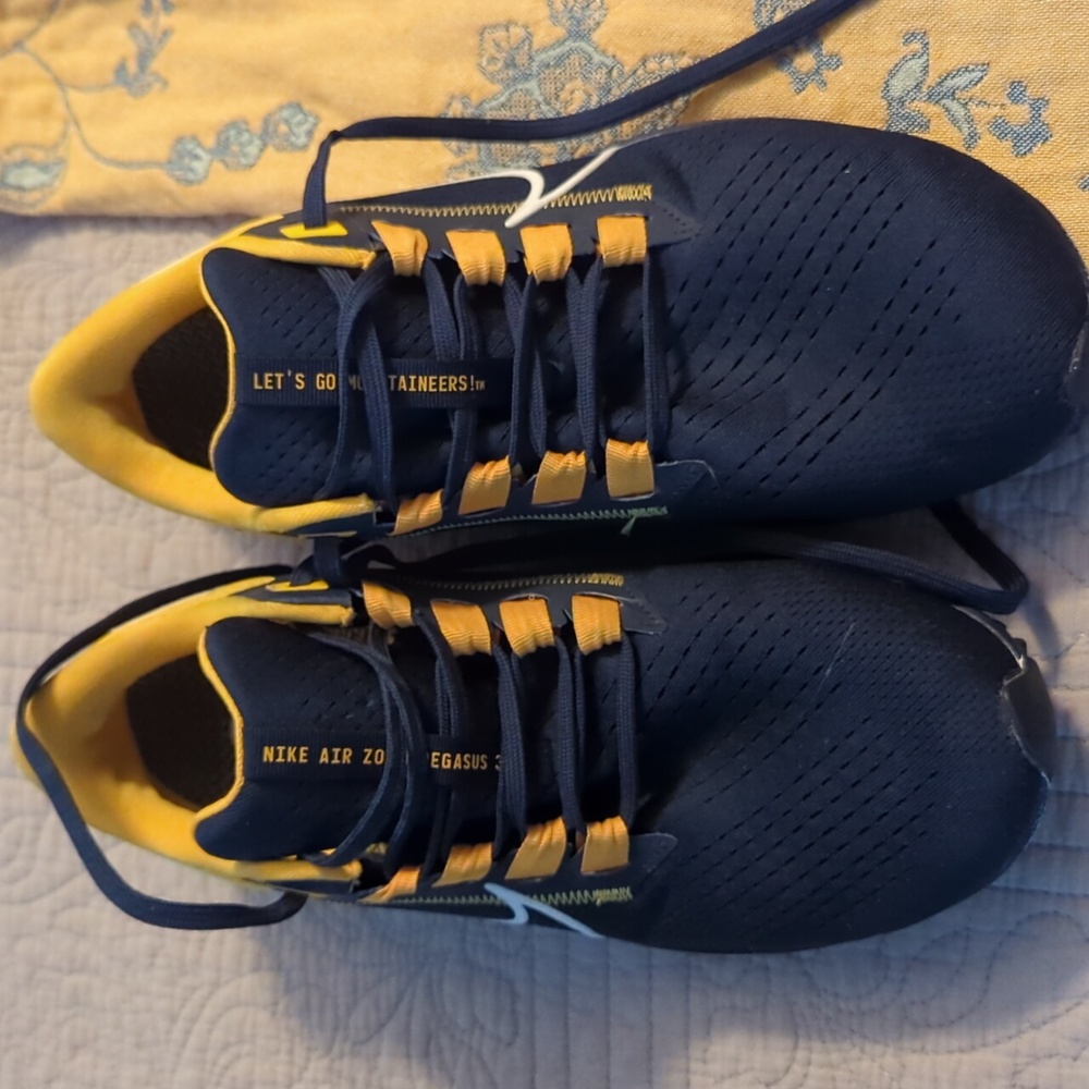 Nike Pegasus WVU Size 10
